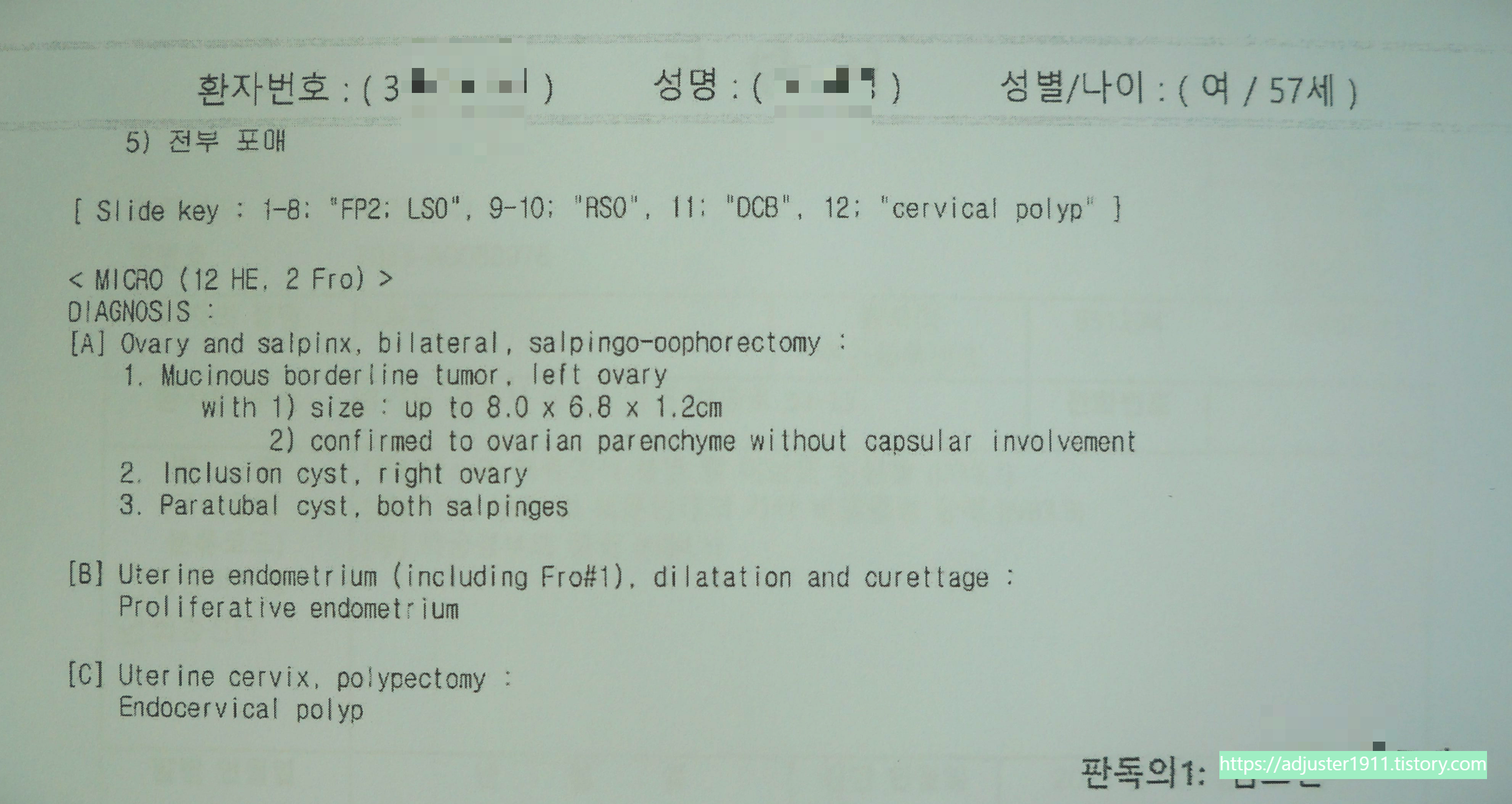 조직검사지