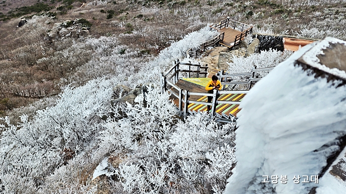 금정산 고당봉 상고데