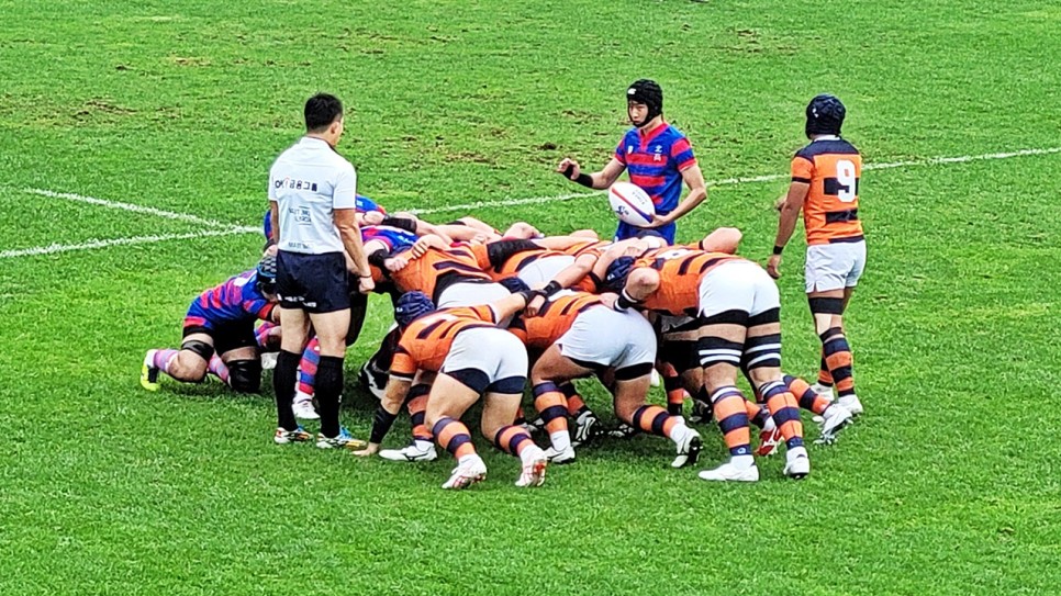 럭비경기 관람 후기! 1도