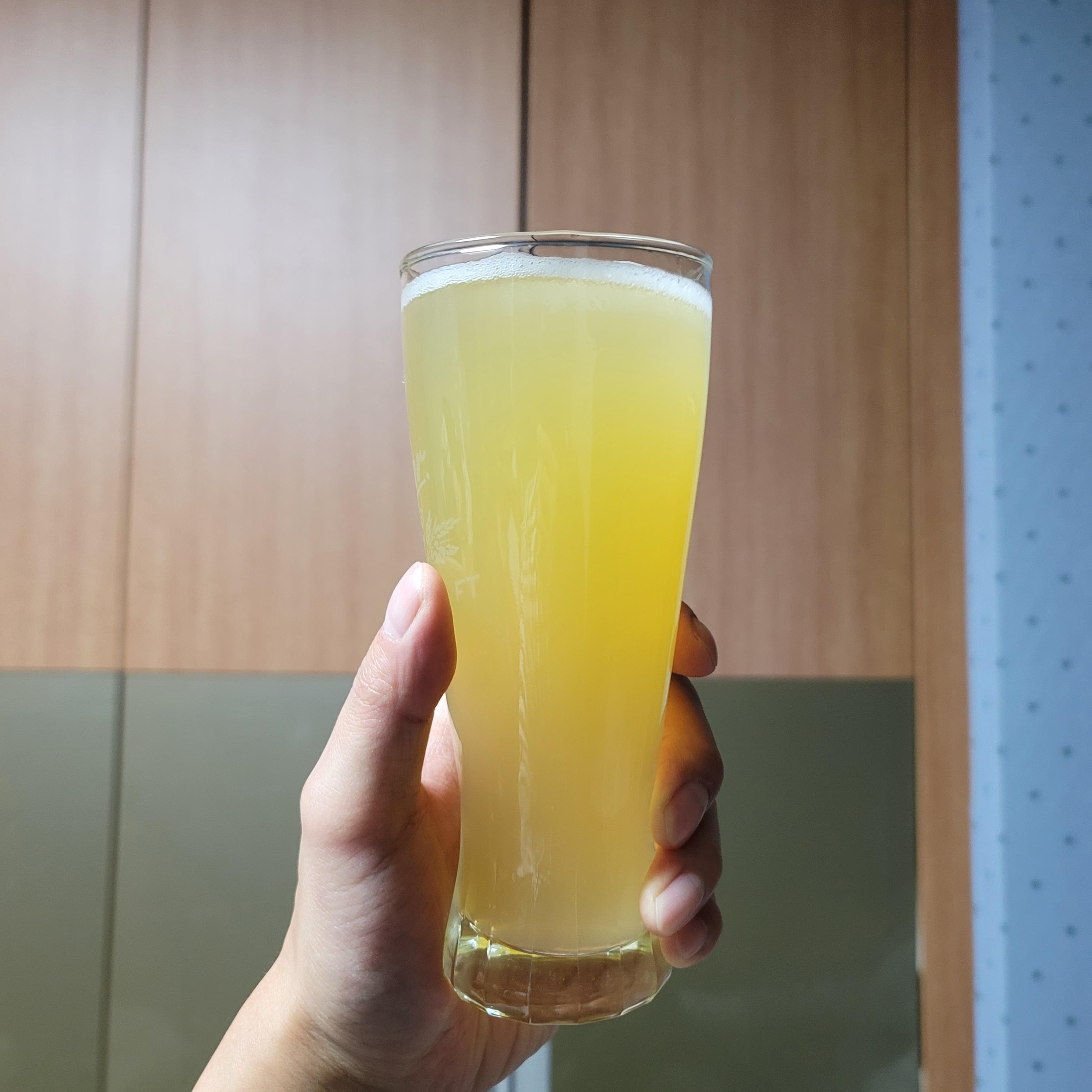  살면서 처음으로 알쓰도 먹고 반한 맛있는 맥주 ?"트롤브루 레몬과 자몽"