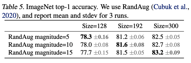 performance by image size and randaug&#39;s magnitude