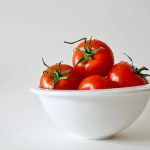 토마토-tomato