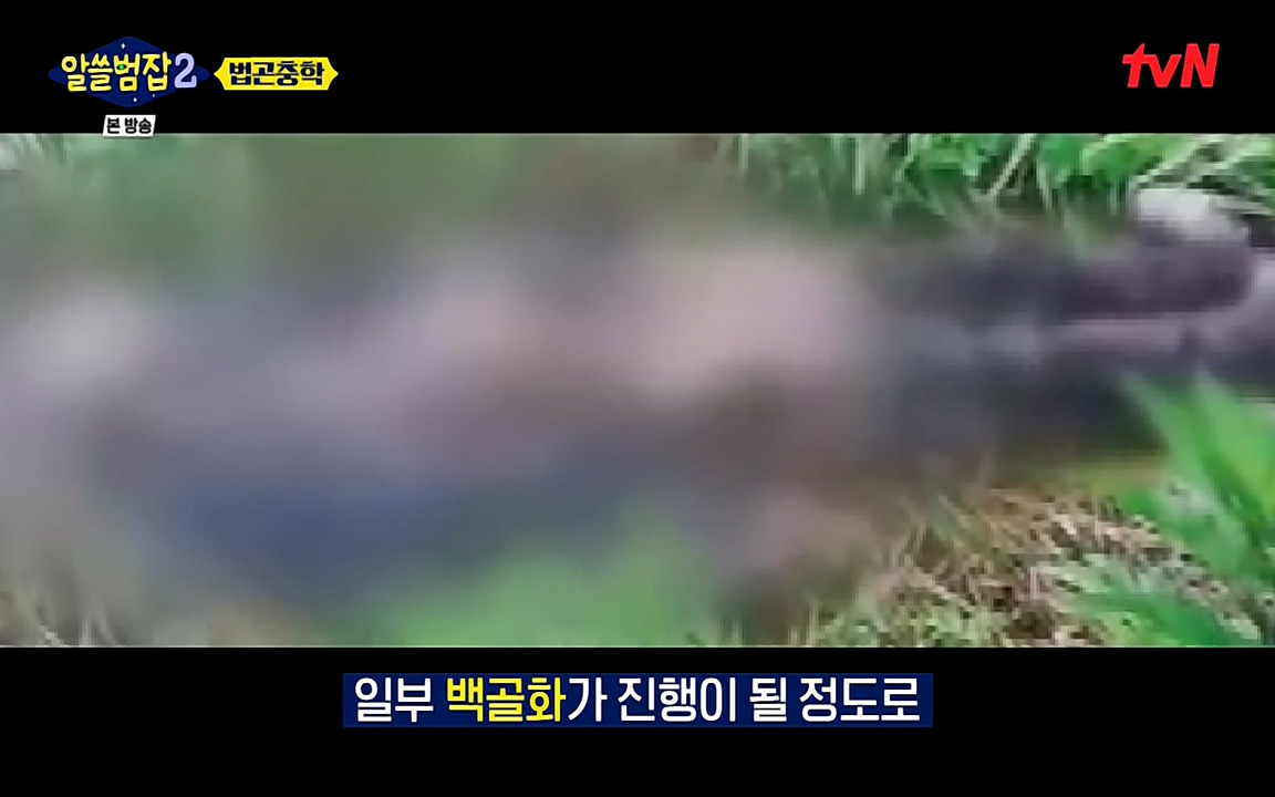 알쓸범잡 2.E15.220425p-NEXT.mp4_20220425_181515.625.jpg