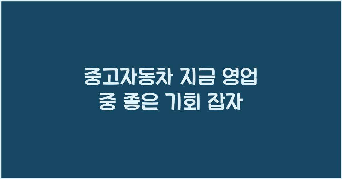 중고자동차 지금 영업 중
