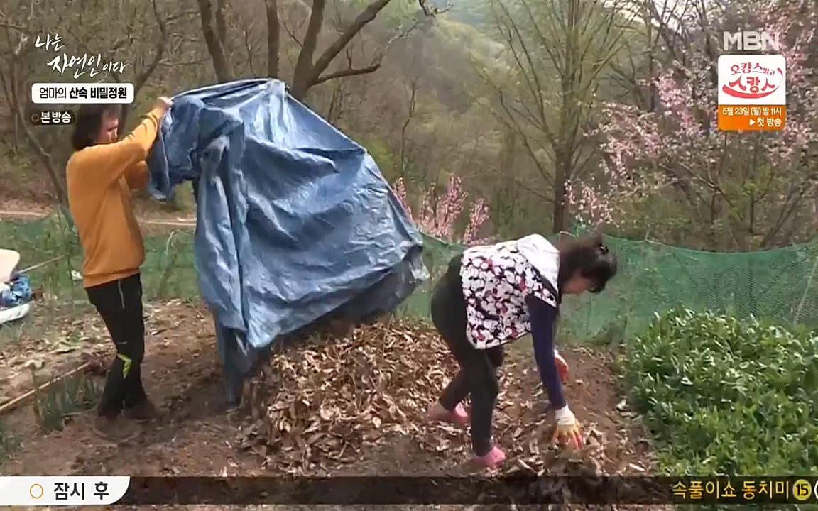 나는 자연인이다.E501.220512p-NEXT.mp4_20220512_185709.678.jpg
