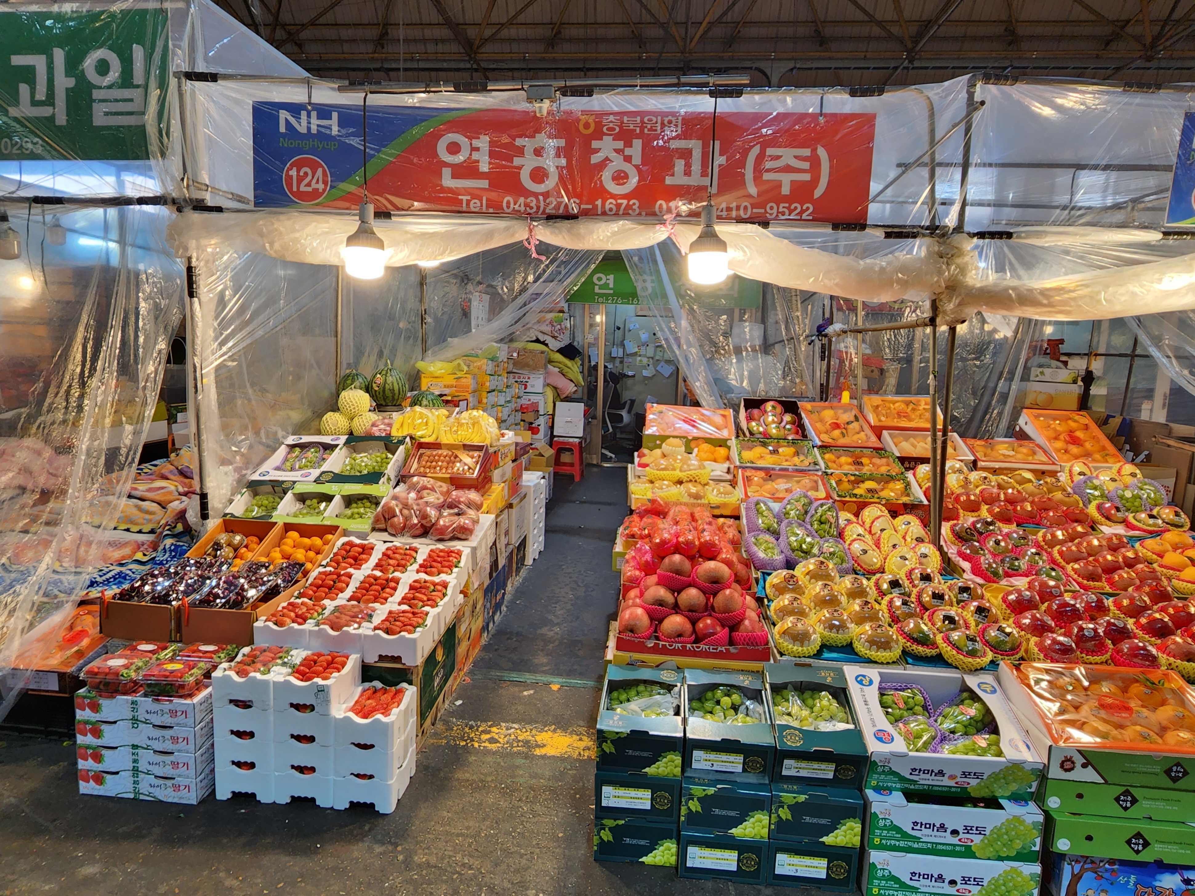  청주 가볼만한곳 수산시장 농수산물도매시장