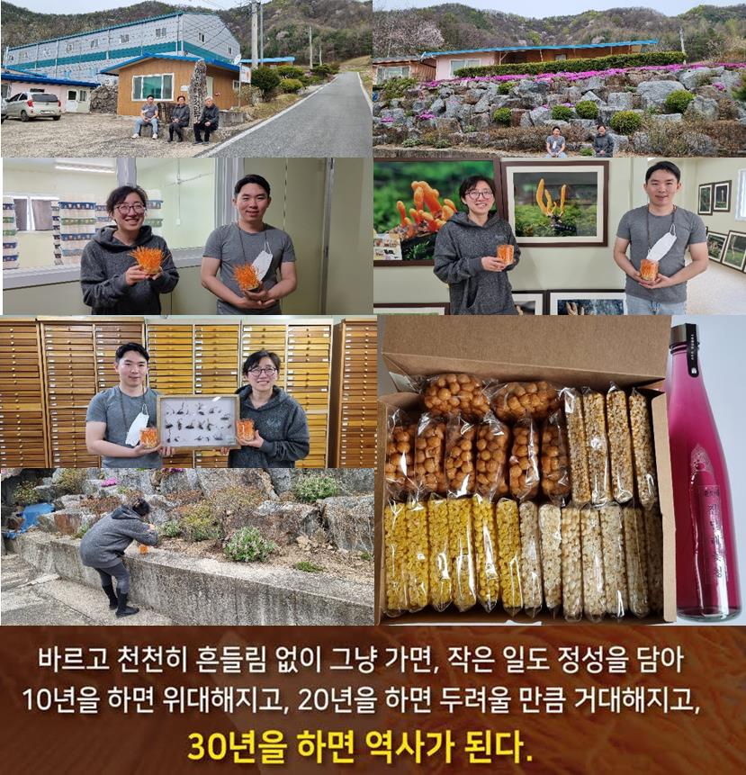 윤토마 이미지