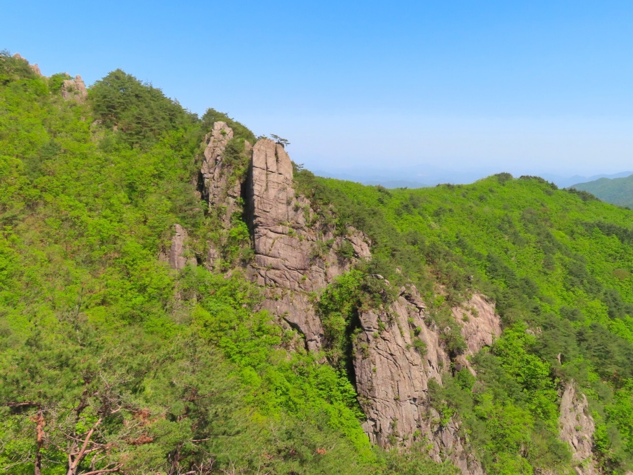 블랙야크 100+, Y출렁다리, 55