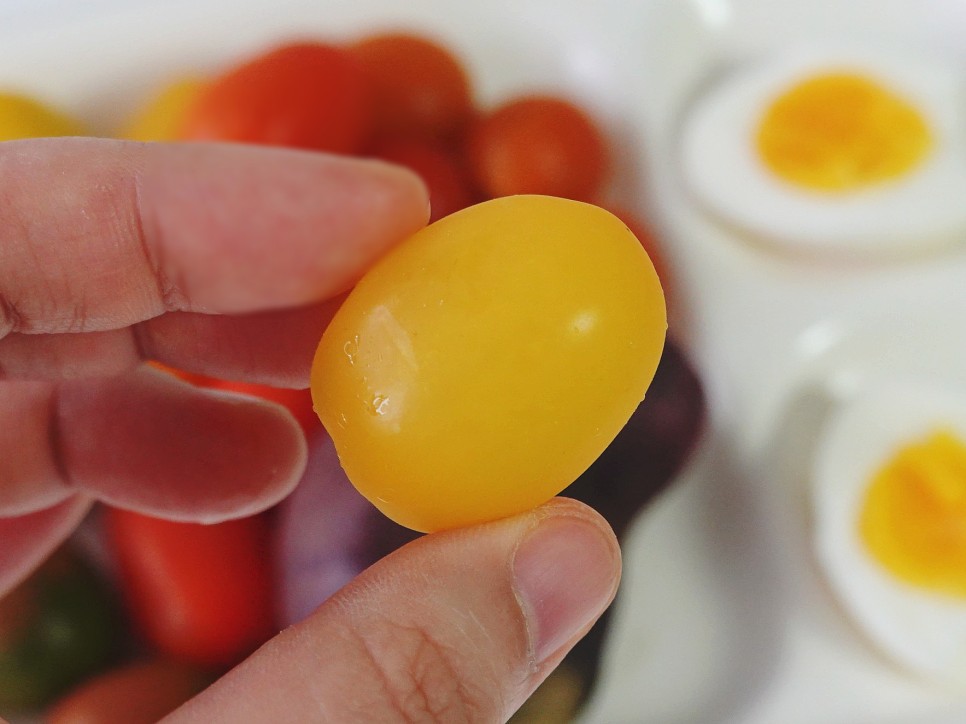 토마토들 산지직송 컬러 8