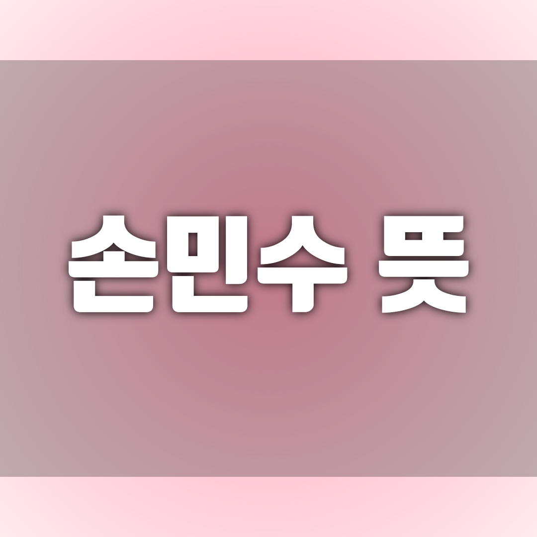  손민수하다 무슨 뜻?