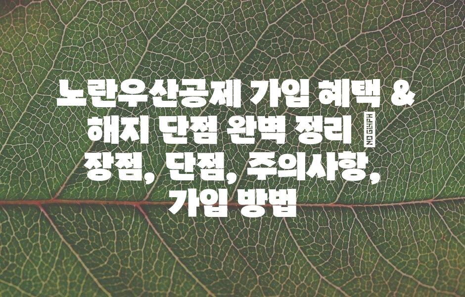 샘플 (43)