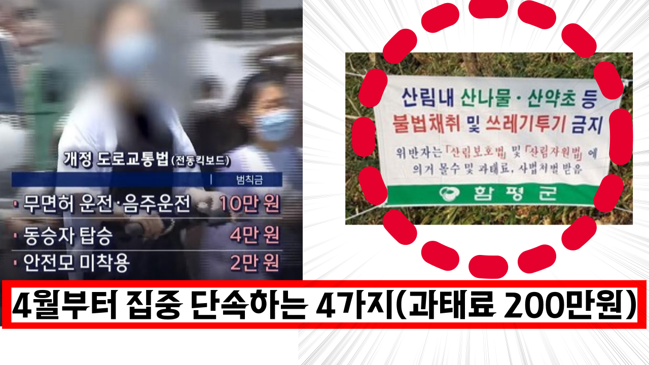  4월부터 단속하는 과태료 4가지 이거 모르면 2백만원 벌금내야 합니다.