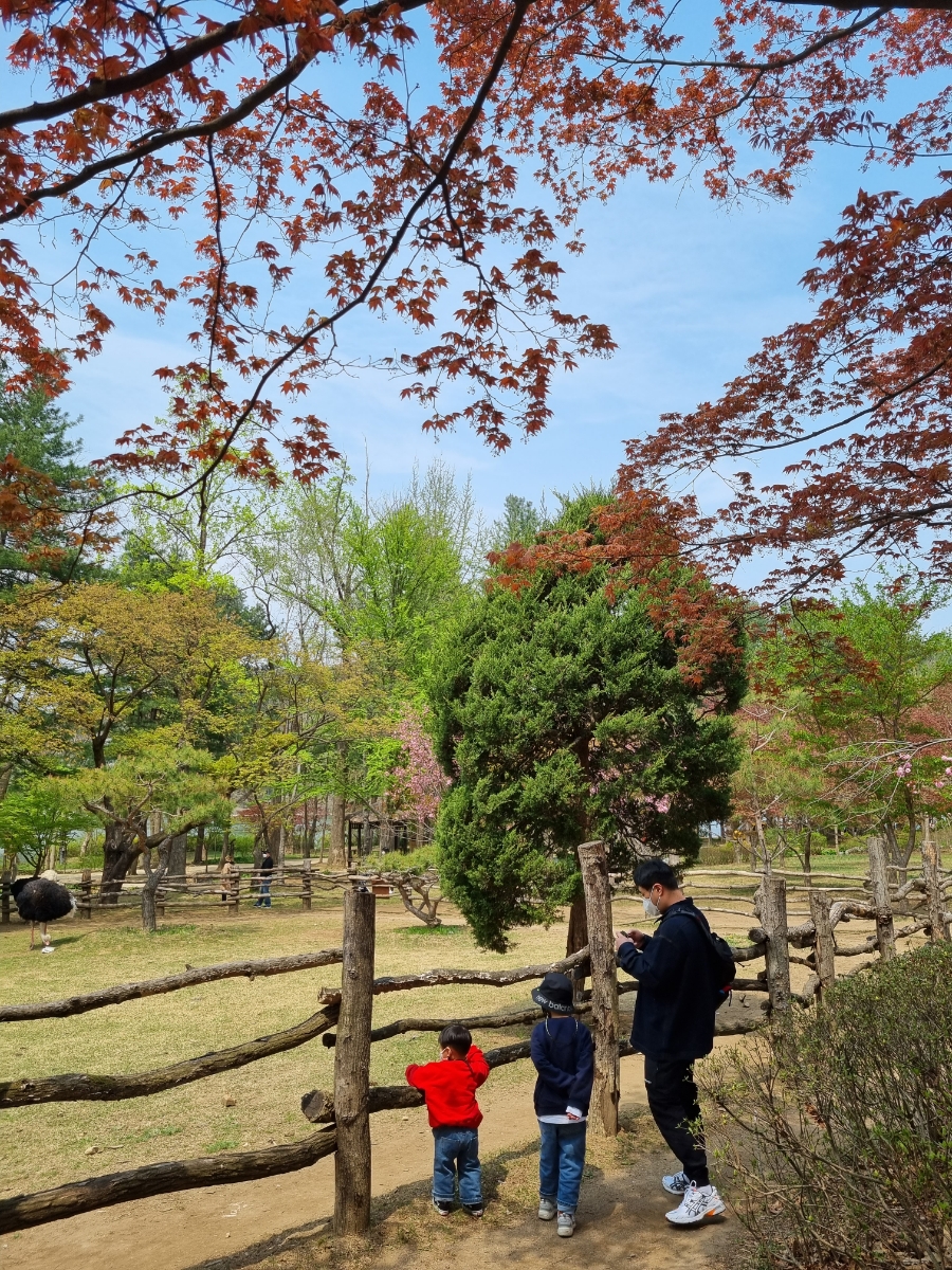 남이섬 배시간표 남이섬 배시간표, 할인 방법, 60