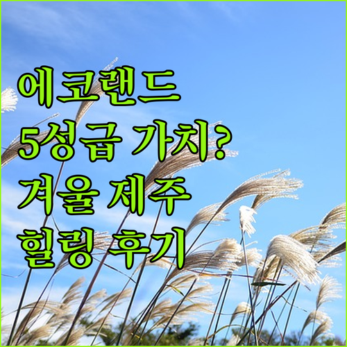 에코랜드 호텔, 5성급의 가치? 겨울