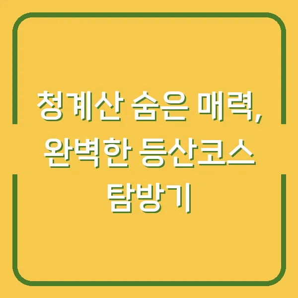 청계산 숨은 매력, 완벽한 등산코스 탐방기