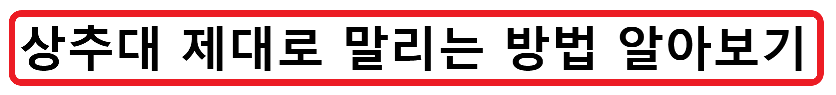 상추대 손질법? 상추대는 어떻게 손질하는게 맞는걸까?