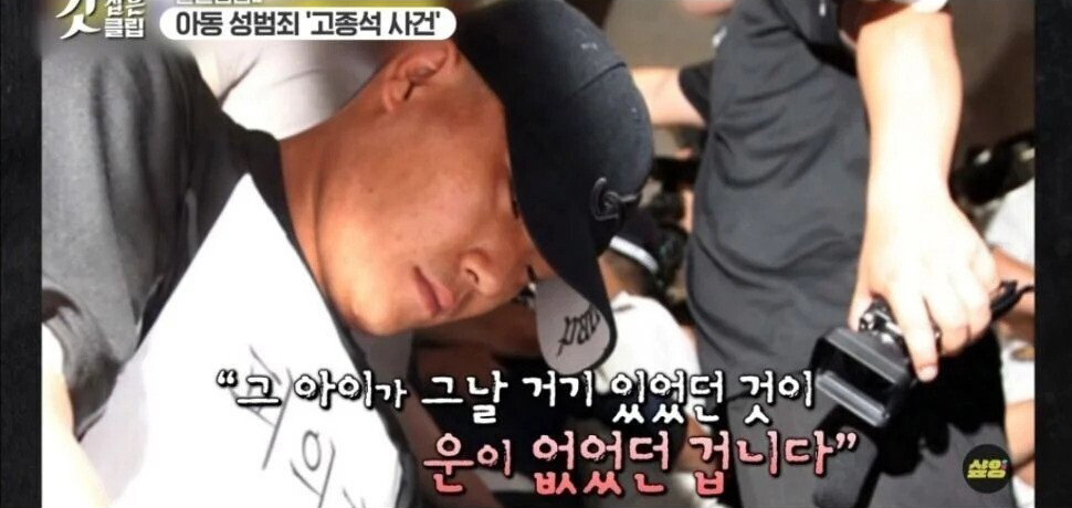  고종석 사건 = 나주 초등생 성폭행 사건