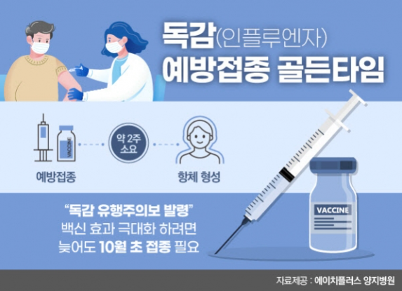 독감 예상 접종의 대한 이미지(출처 : 에이치플러스 양지병원)