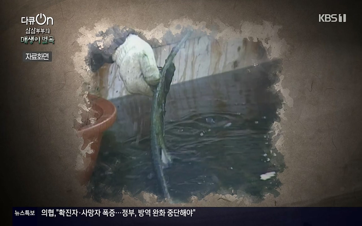 다큐 온.E131p-NEXT.mp4_20220319_173950.759.jpg