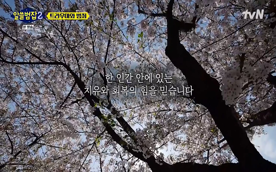 알쓸범잡 2.E11.220321p-NEXT.mp4_20220321_182416.799.jpg