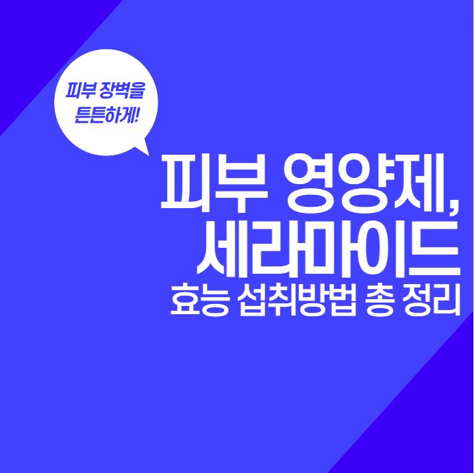  세라마이드 효능 섭취방법 제품 고르는 법 | Ceramide | 피부 영양제