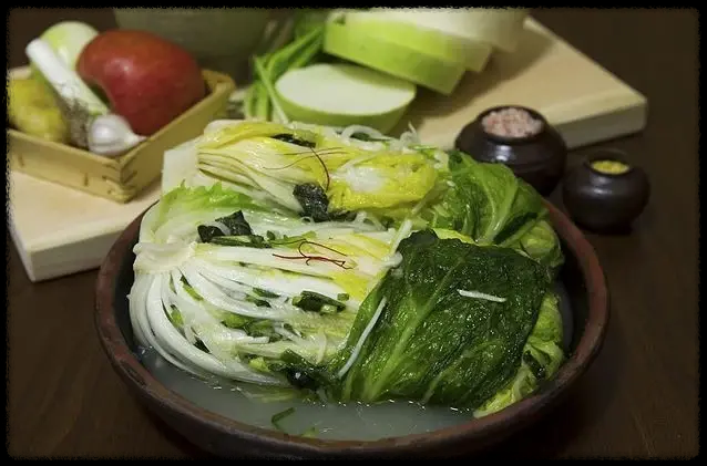 세계가 주목 김치의 힘 지방 쏙 비만 타파 그 효능과 효과