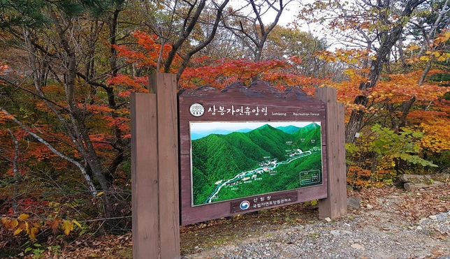 삼봉자연휴양림