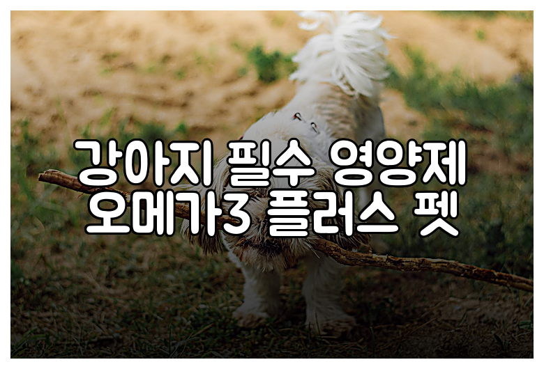강아지 필수 영양제 오메가3 플러스 펫
