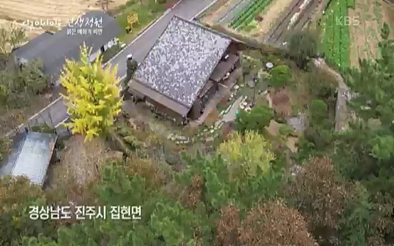 다큐 인사이트 - KBS인생정원 - 붉은 매화가 피면] 봄이면 가장 먼저, 그리고 가장 붉게 피어나는 강인한 소성의 매화.ts_20220818_205143.108.jpg