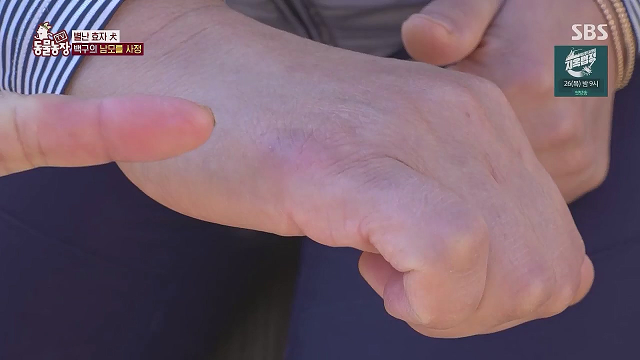 TV 동물농장.E1104.230123p.WANNA.mp4_20230123_195406.303.jpg