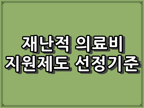 재난의료비 지원 대상자격