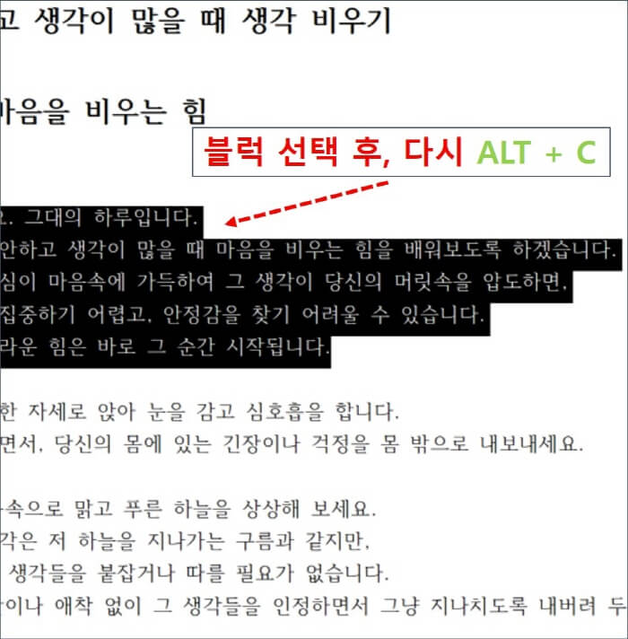 복사-영역-선택-화면