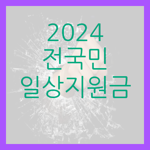  2024 전국민 일상지원금 신청 정보 허위 여부 분석