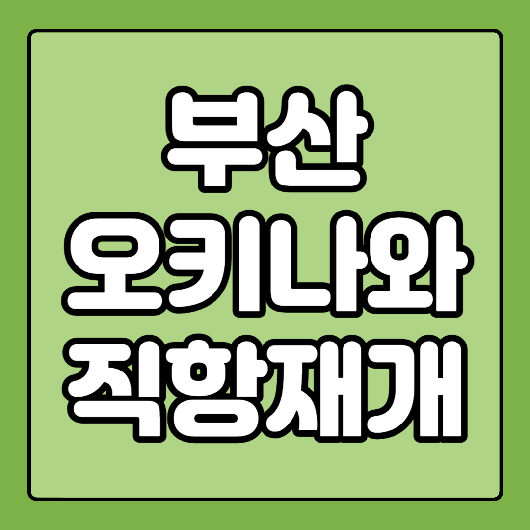 부산 일본 오키나와 비행기 직항 재게 진에어 항공
부산 일본 오키나와 비행기 직항 재게 진에어 항공