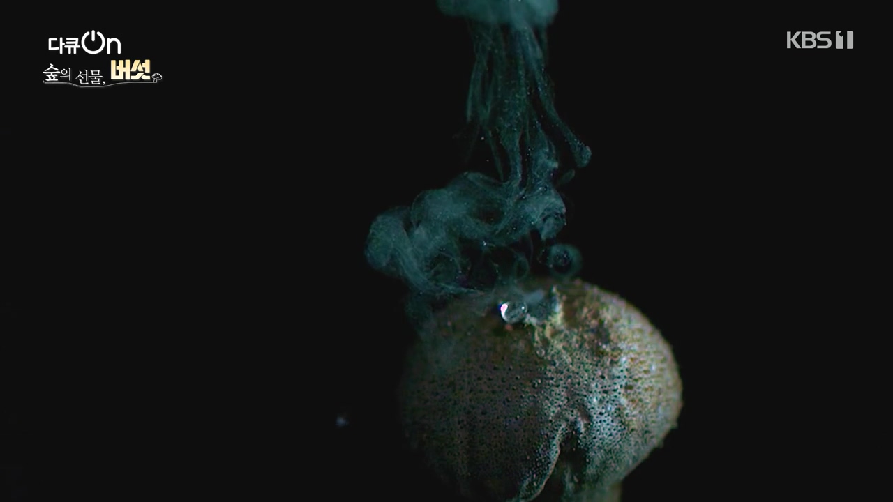 다큐 온.E227.231120p-NEXT.mp4_20231121_202019.012.jpg