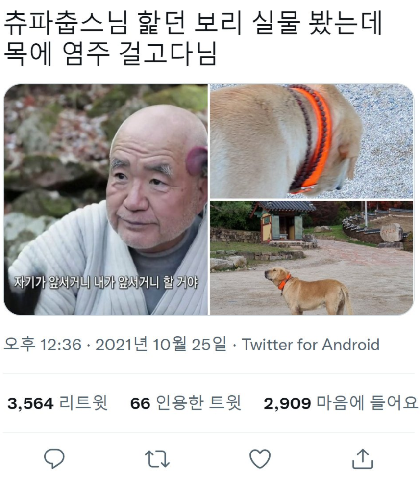 세미 불교짤 / 불무교짤 / 불교짤 / 불교쪽은 묘하게 테크트리가 빠르다 / 츄파츕스님짤 / 천주교 불교짤 / 천주교짤 / 천주교명언짤 / 천주교 연예인 세미 불교짤 / 불무교짤 / 불교짤 / 불교쪽은 묘하게 테크트리가 빠르다 / 츄파츕스님짤 / 천주교 불교짤 / 천주교짤 / 천주교명언짤 / 천주교 연예인