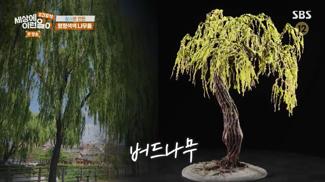 순간포착 세상에 이런일이.E1250.231029p-NEXT.mp4_20231029_153408.779.jpg