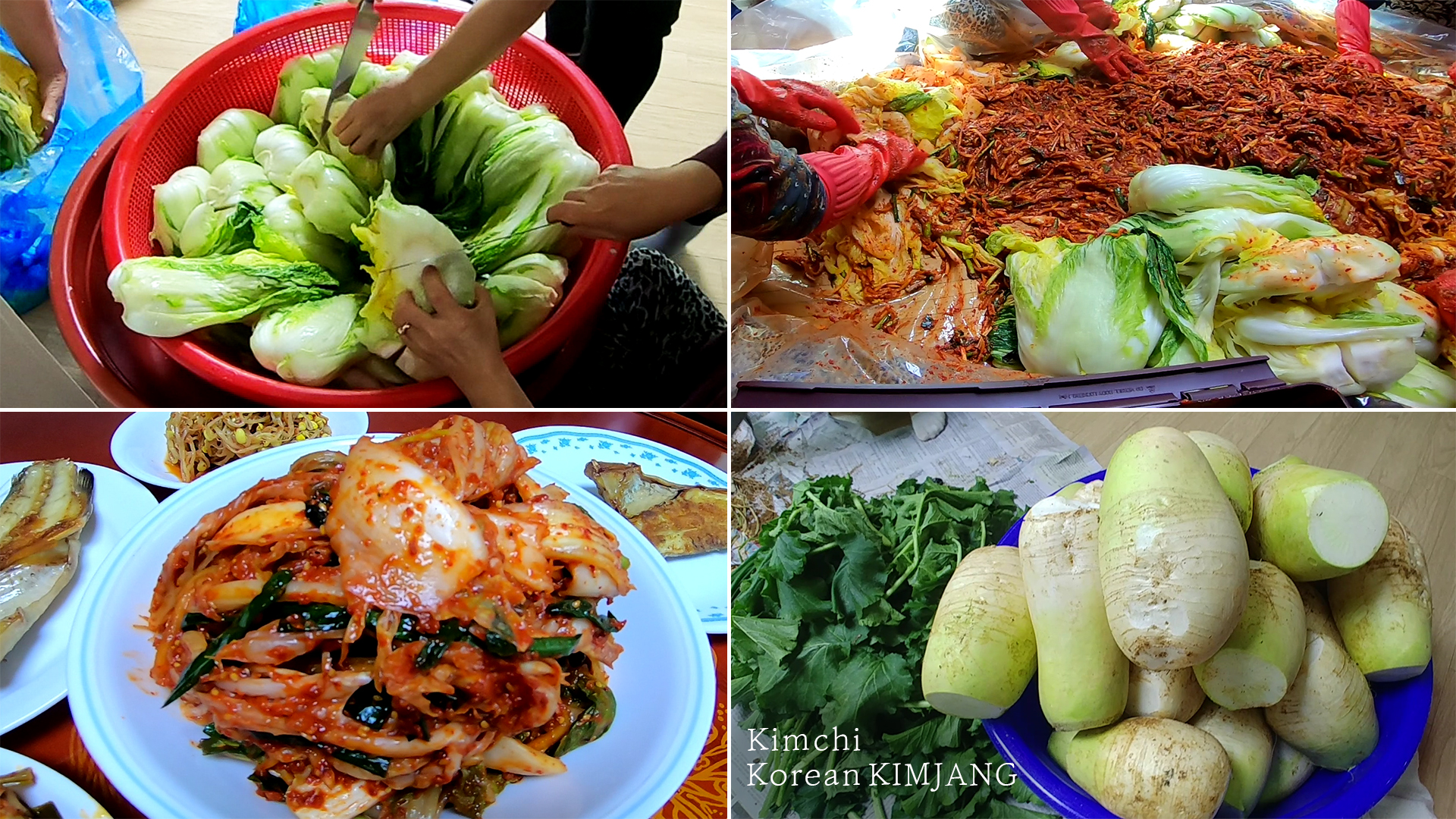  Kimchi Recipe in Korea