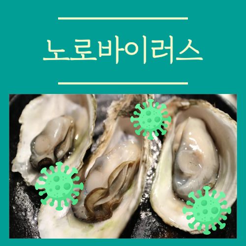 노로바이러스 증상 치료와 예방법 좋은 음식 나쁜 음식 