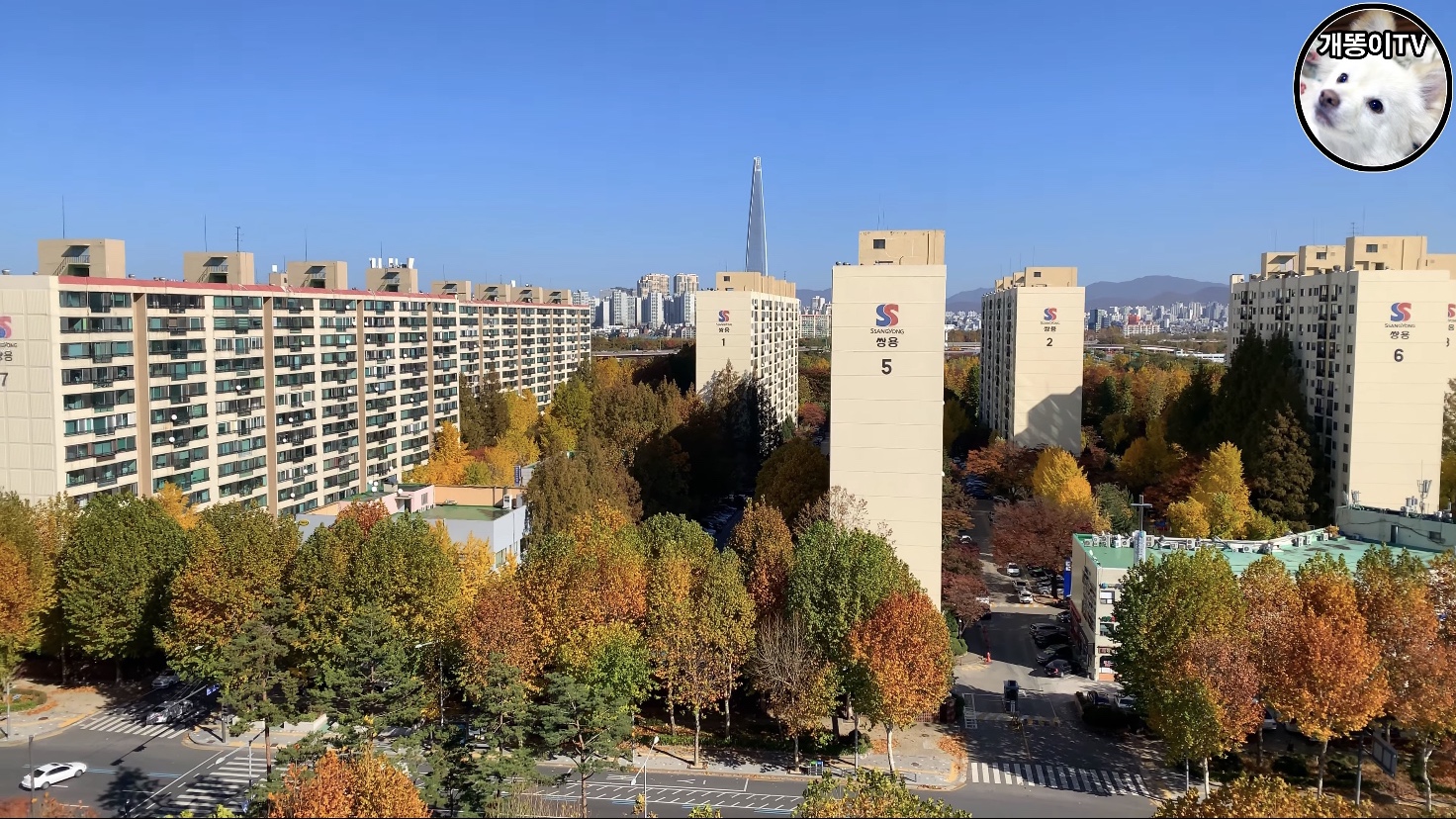  은마아파트 뷰 Korea Seoul Apartment  | 대치동