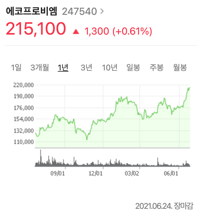  에코프로비엠 주가 분석(주식투자, 배당금)