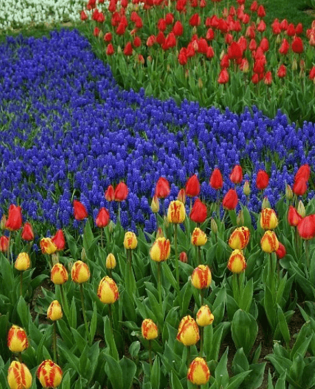 경기도 축제