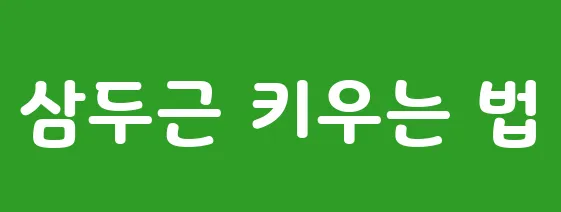 삼두근 키우는 법