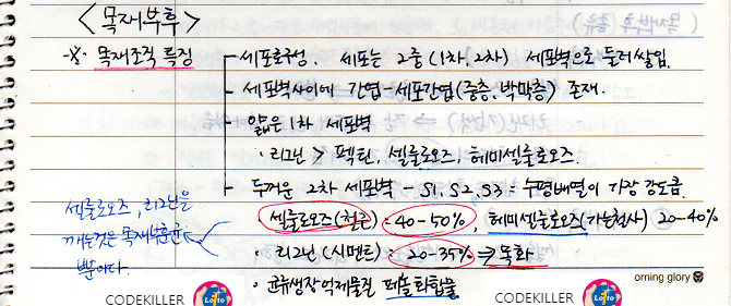  [수목병리학] 목재 부후 및 목재부후 발생부위