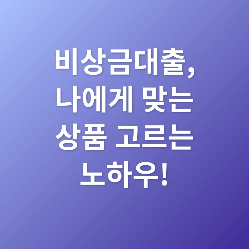 비상금대출_2