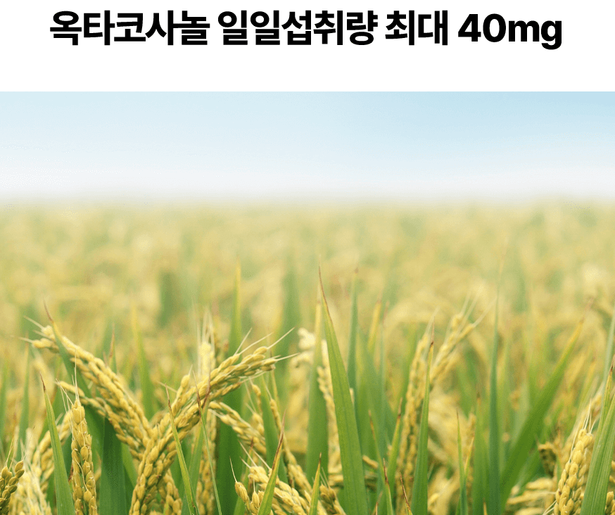 2023 마놀로지 컷 파란통 다이어트 후기!  요약