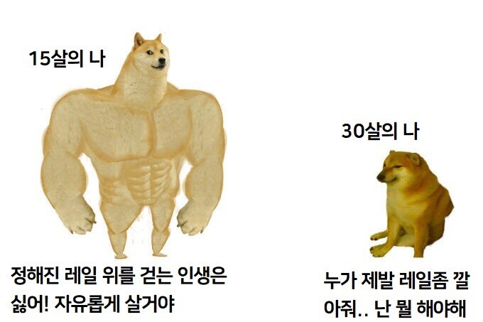 내게효도하지마짤 서른두살이면 여자친구있어야죠짤 난 원남쓰 30살인디짤 사람은 대충 30대까지는 아기라고 본다 내게효도하지마짤 서른두살이면 여자친구있어야죠짤 난 원남쓰 30살인디짤 사람은 대충 30대까지는 아기라고 본다