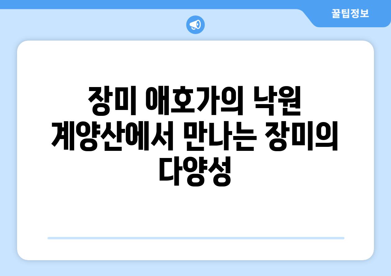 장미 애호가의 낙원 계양산에서 만나는 장미의 다양성