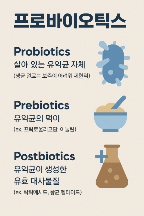 프로바이오틱스의 종류