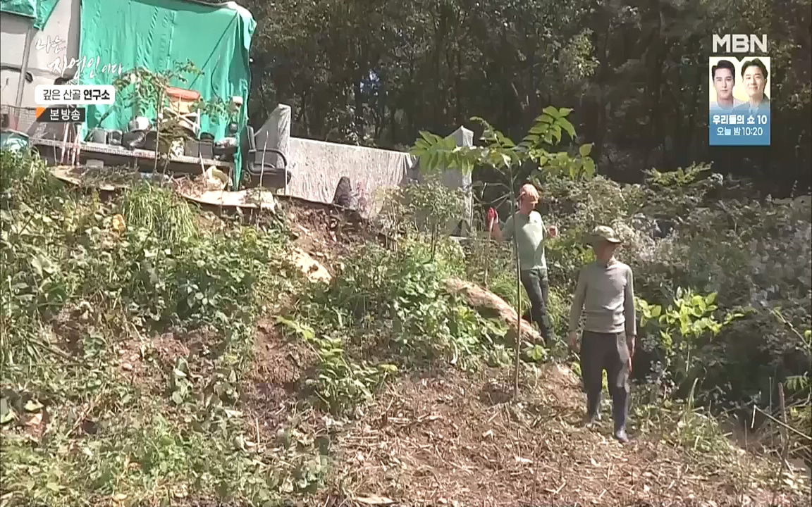 나는 자연인이다.E523.221013p.WANNA.mp4_20221013_201149.458.jpg